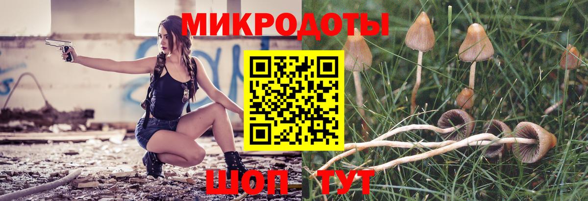 Галлюциногенные грибы MAGIC MUSHROOMS Знаменск